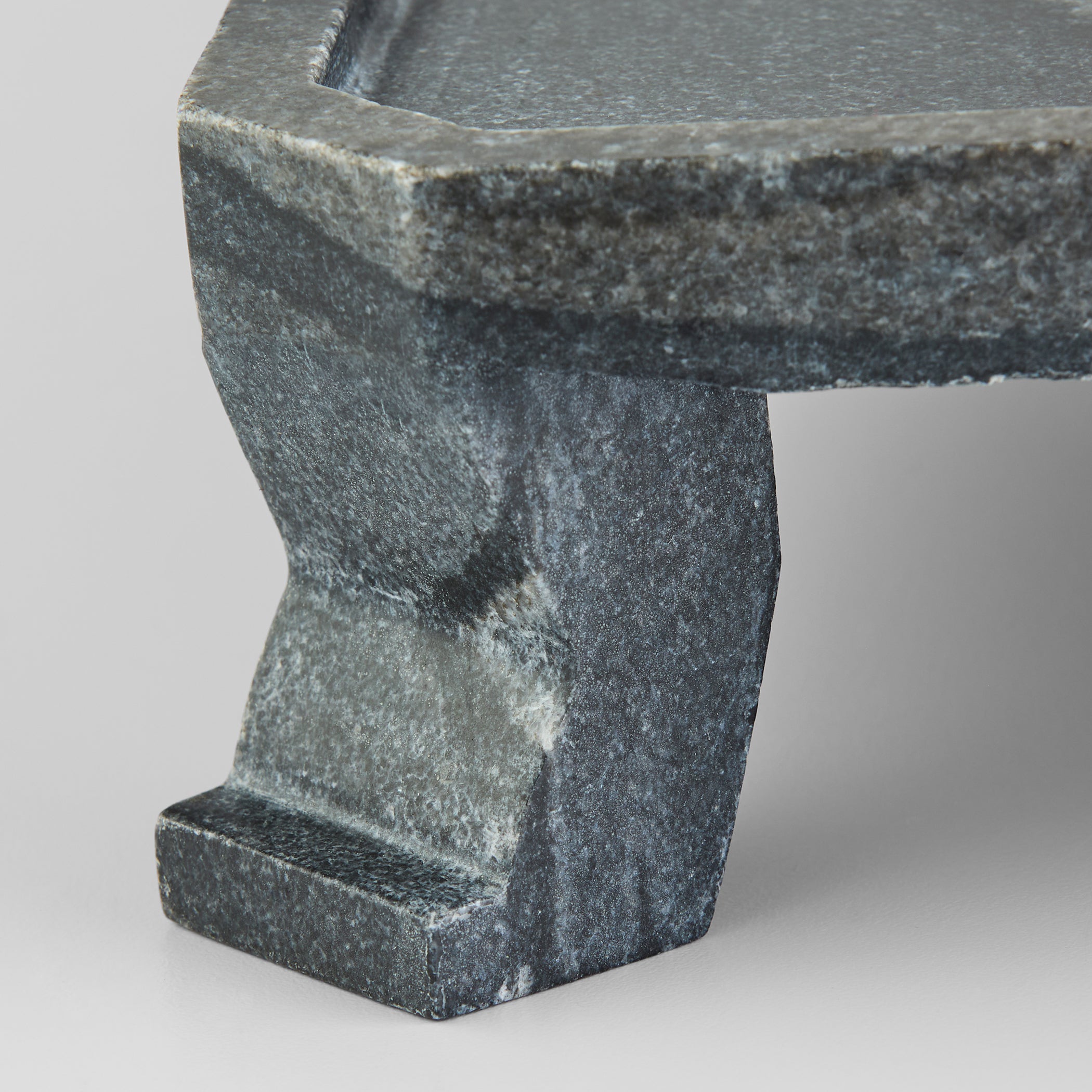 Modern Paw Tray | Rectangle - Large