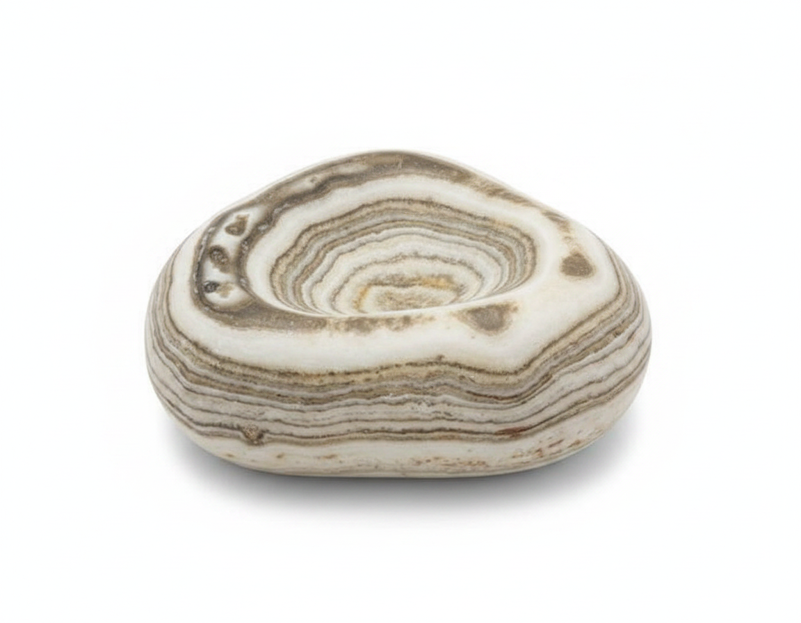 Atlas Donut Bowl