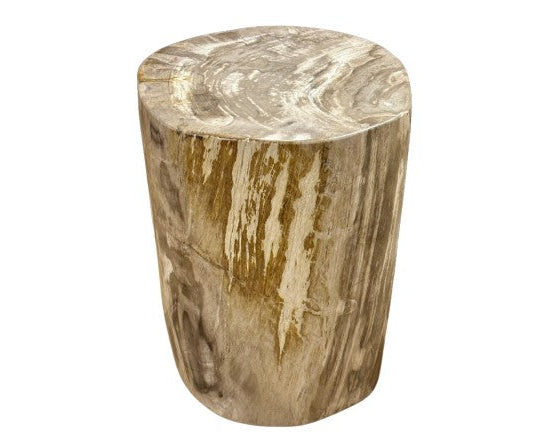 Petrified Wood Stool