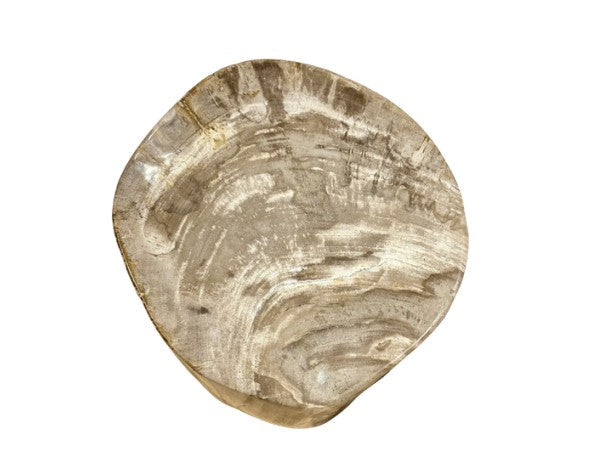 Petrified wood stool with natural stone grain patterns and organic shape, approximately 15.5 inches tall, usable as a stool or side table.