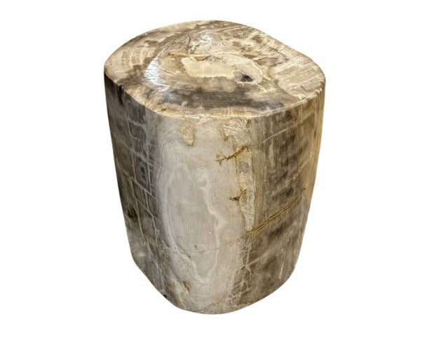 Petrified Wood Stool