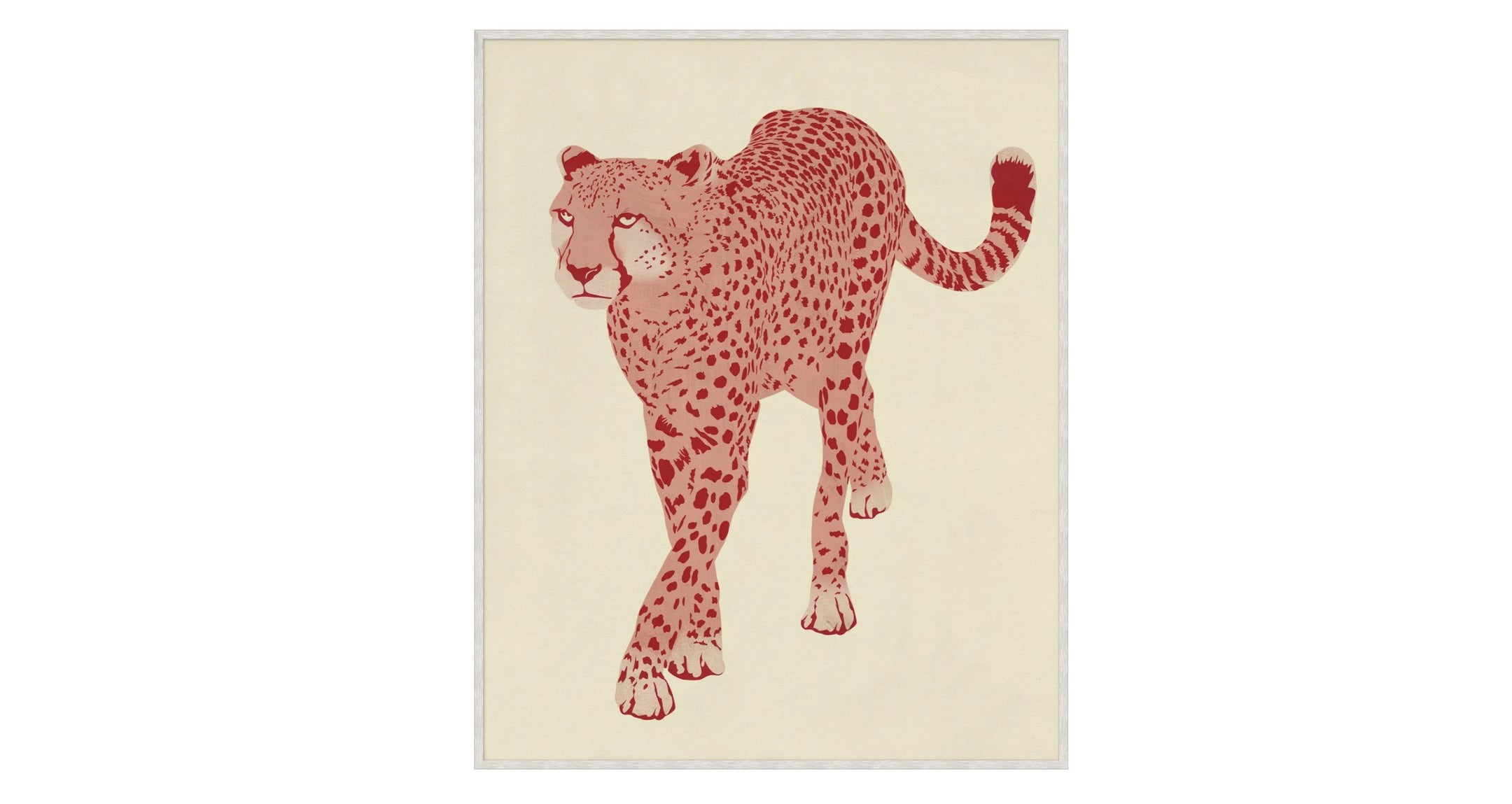 I Ain't Lion 1