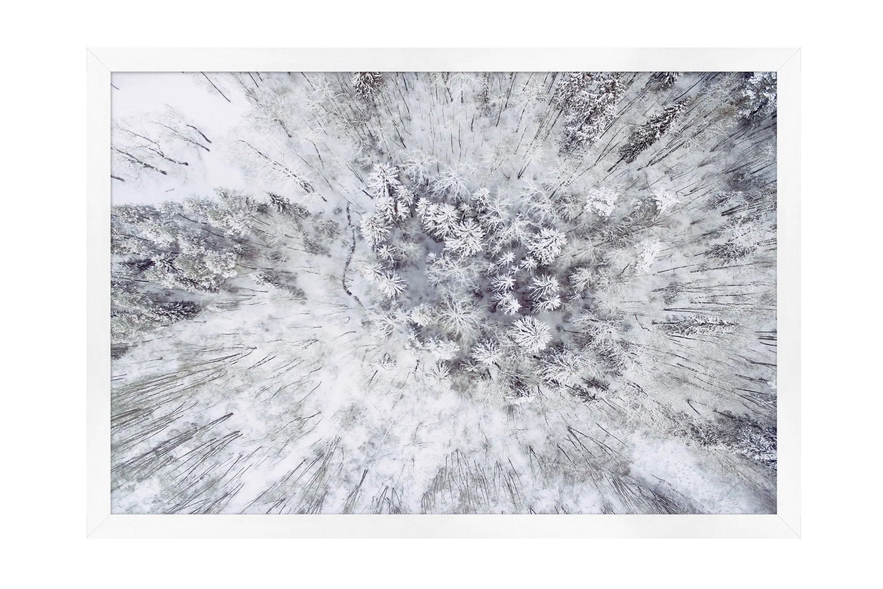 Winter From Above 1
