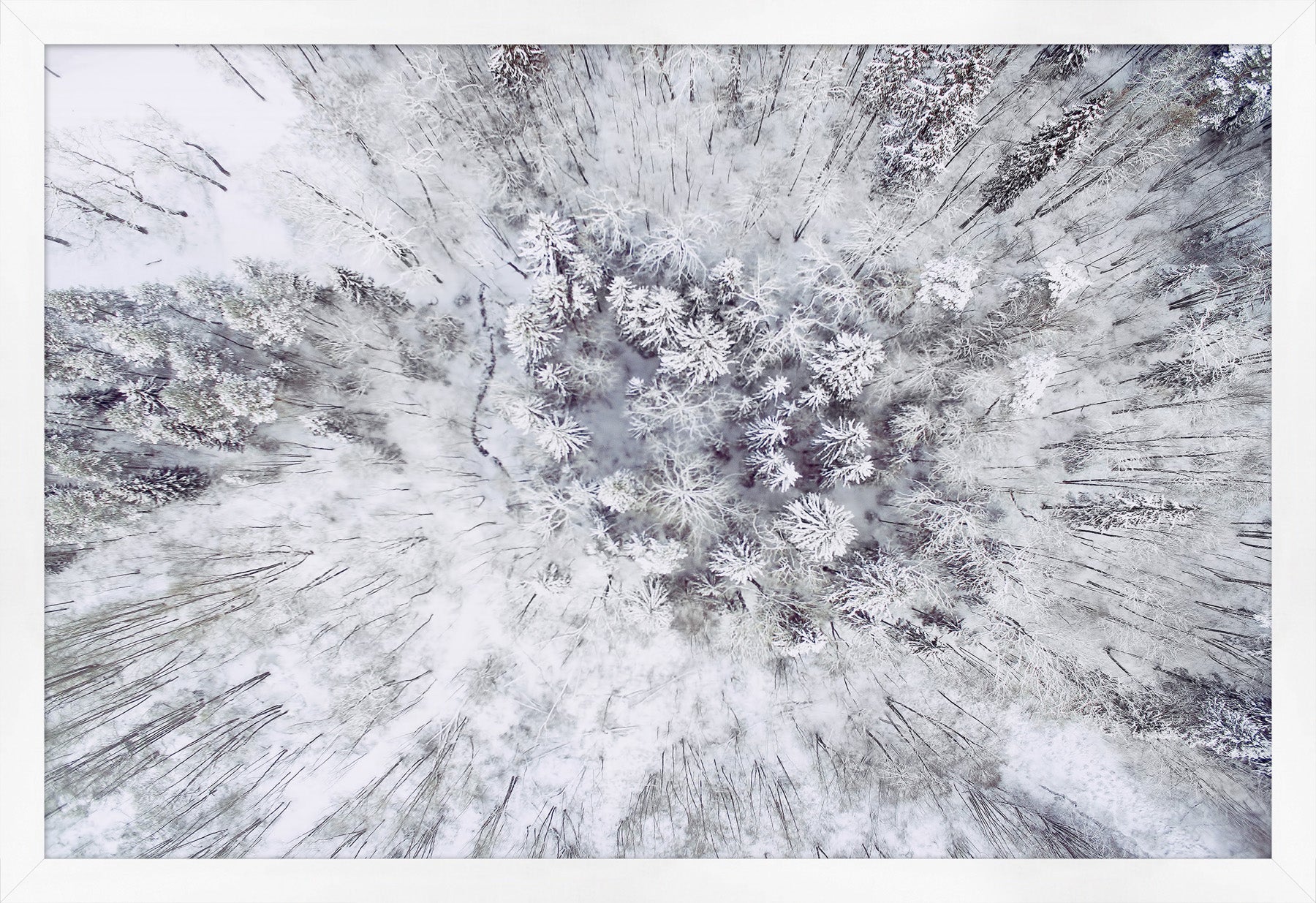 Winter From Above 1